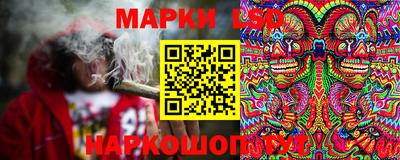 шишки Шебекино