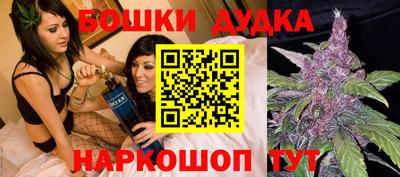 шишки Шебекино