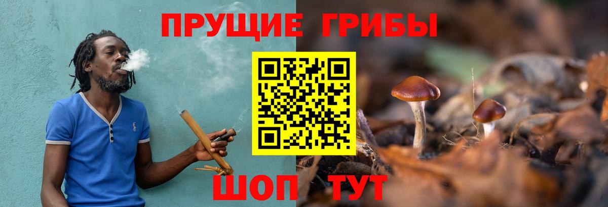 Галлюциногенные грибы ЛСД Луховицы